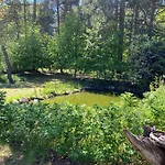 Waldhotel فندق بويتسنبورغ