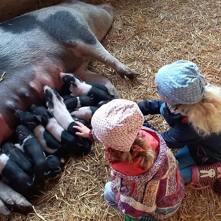 Waldhotel 2* Boizenburg